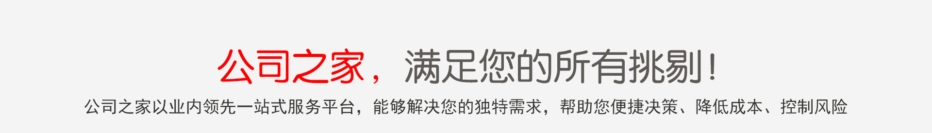 一般纳税人申请(图5)